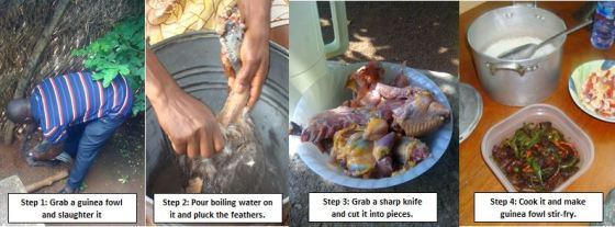 how to make guinea fowl stir-fry